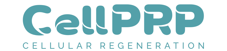 Campany 5 logo